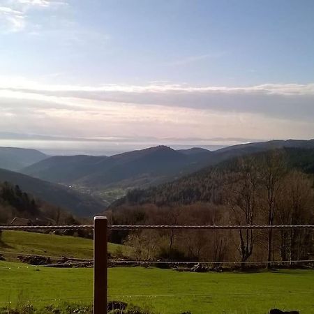 Un Coin De Montagne Apartment Linthal Екстериор снимка
