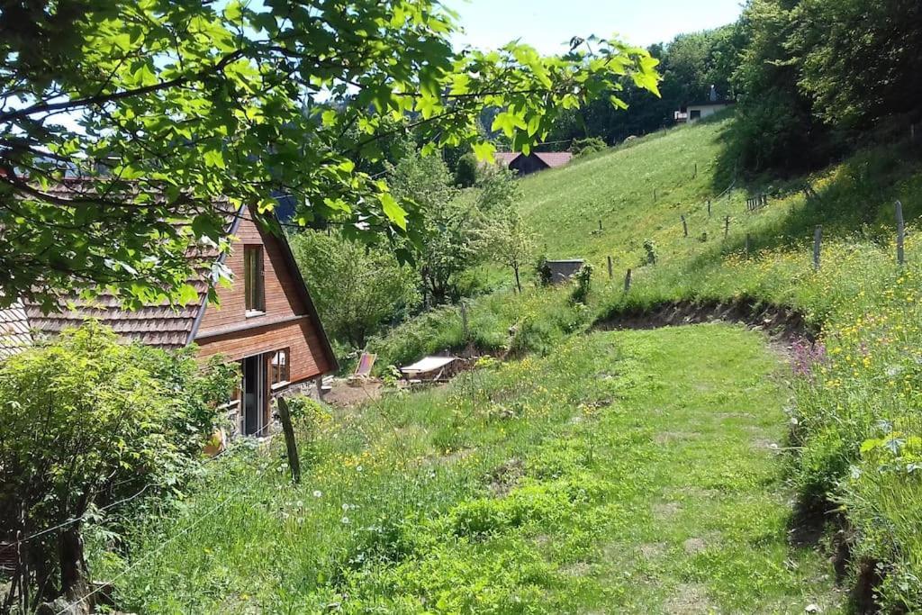Un Coin De Montagne Apartment Linthal Екстериор снимка