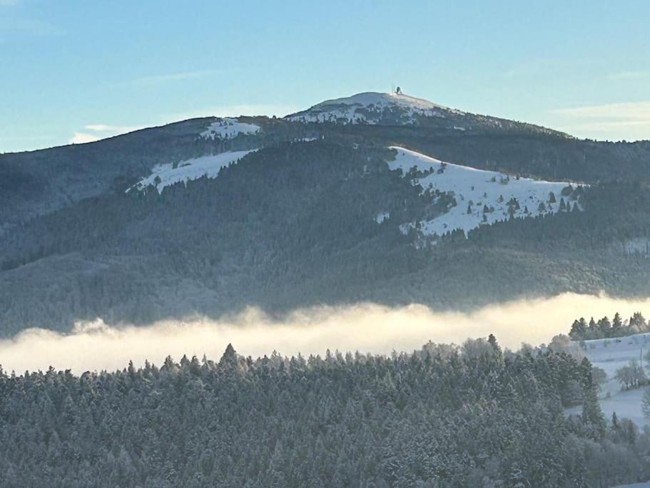 Un Coin De Montagne Apartment Linthal Екстериор снимка