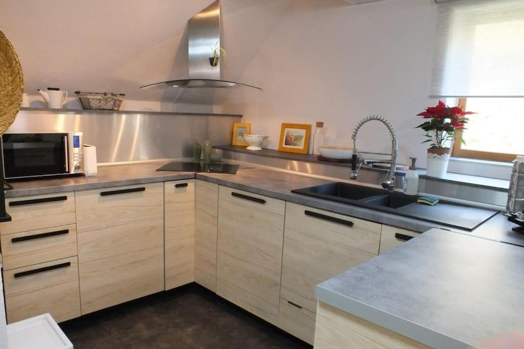 Un Coin De Montagne Apartment Linthal Екстериор снимка