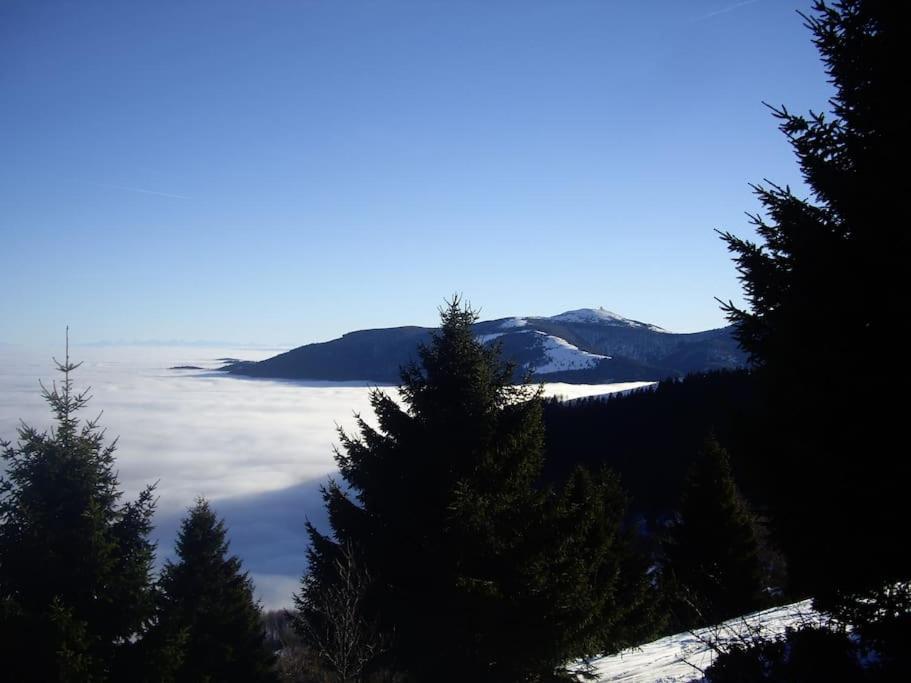 Un Coin De Montagne Apartment Linthal Екстериор снимка