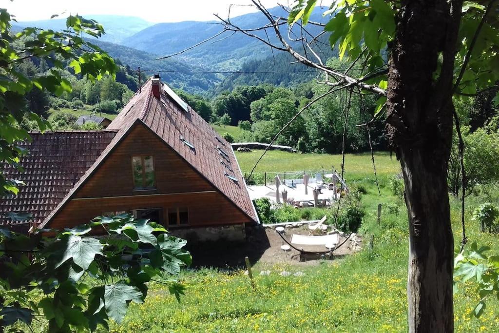 Un Coin De Montagne Apartment Linthal Екстериор снимка