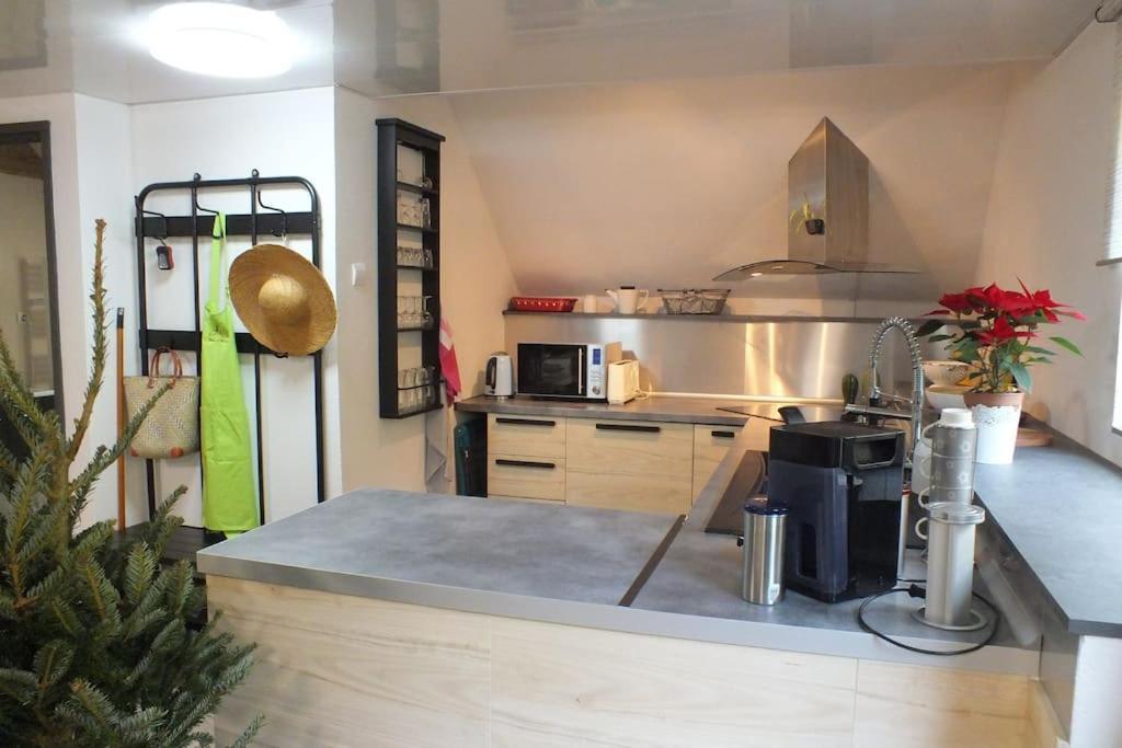 Un Coin De Montagne Apartment Linthal Екстериор снимка