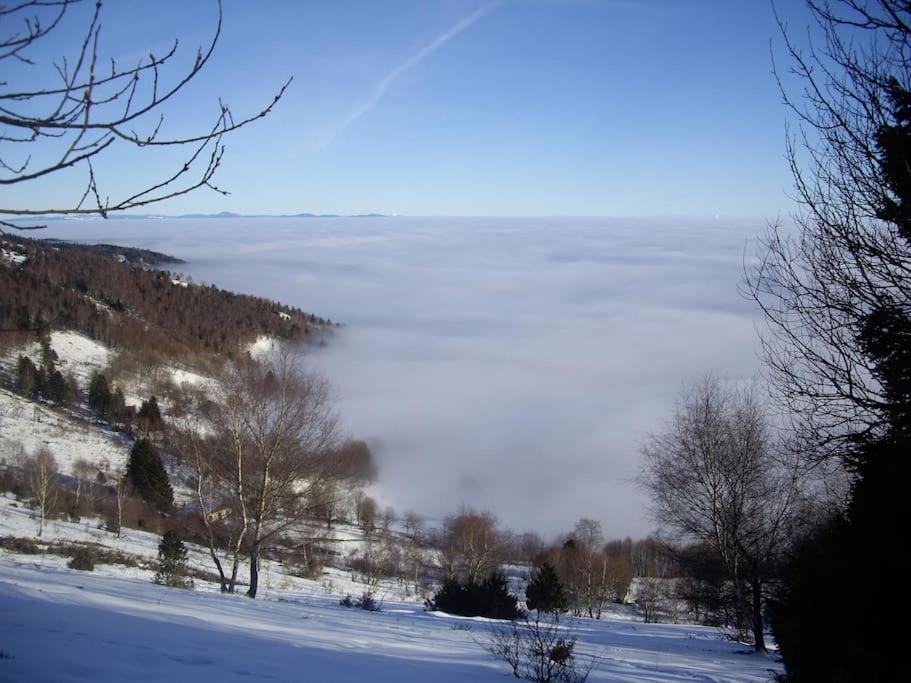 Un Coin De Montagne Apartment Linthal Екстериор снимка