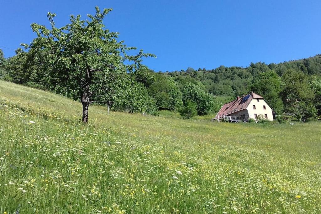 Un Coin De Montagne Apartment Linthal Екстериор снимка